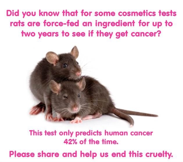 animal testing – Pamelyn
